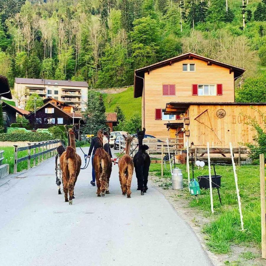 Jurte Beim Lama- & Alpakahof Triesenberg Hotel Exterior photo